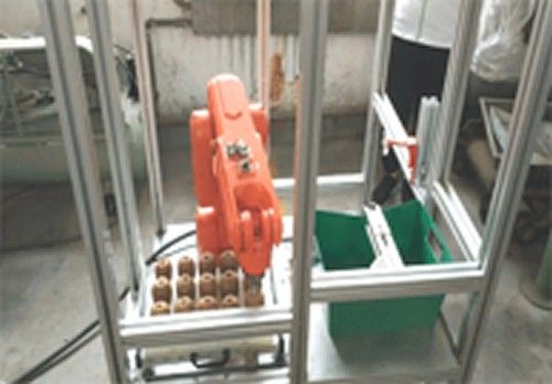 獼猴桃機(jī)械臂削皮機(jī)