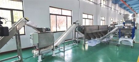 核桃去青皮清洗、提升機(jī)