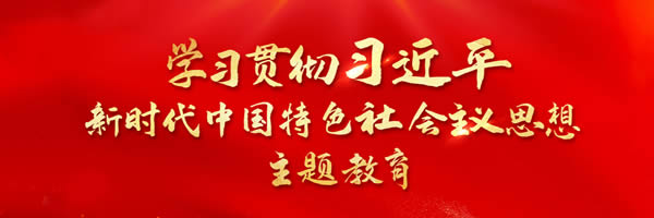 學(xué)習(xí)貫徹習(xí)近平時(shí)代中國(guó)特色社會(huì)主義思想主題教育